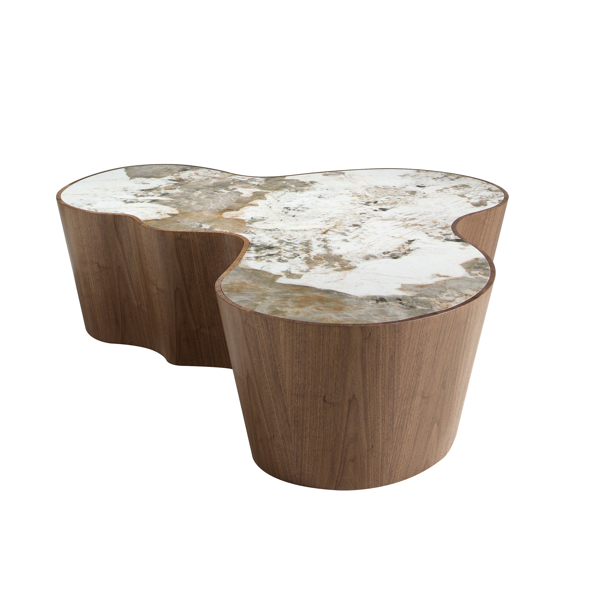 Organic-Shaped Porcelain Marble and Walnut Coffee Table