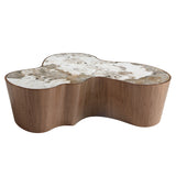 Organic-Shaped Porcelain Marble and Walnut Coffee Table