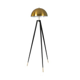 Polished gold steel and black steel floor lamp