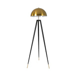 Polished gold steel and black steel floor lamp