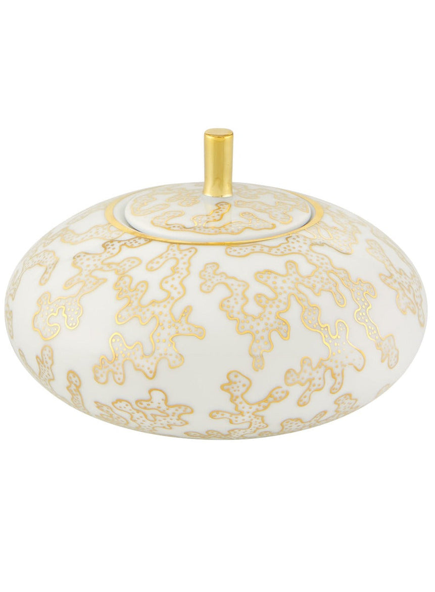 Cailloute - Sugar Box - LAZADO