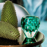 Case with Bowl Graviola Green by Vista Alegre - Detail View
