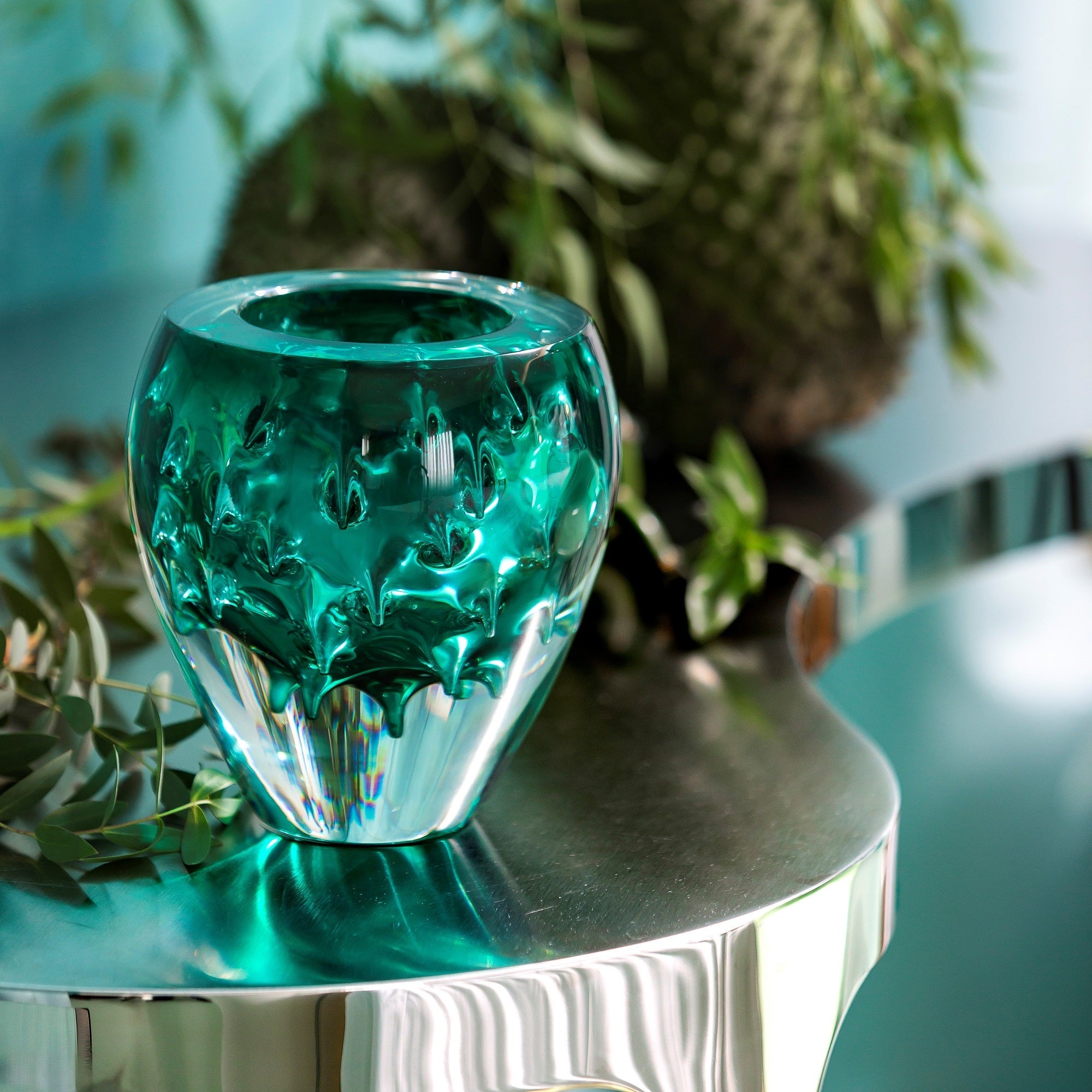 Case with Bowl Graviola Green - LAZADO