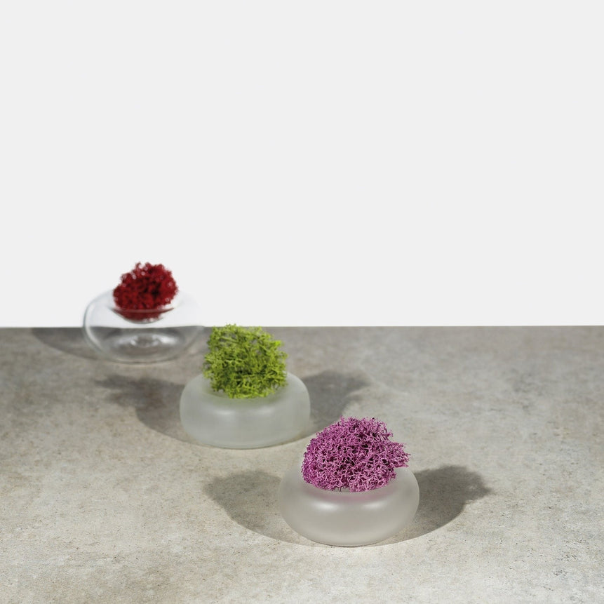 Reversible Mini Vase - FROSTED  - LAZADO