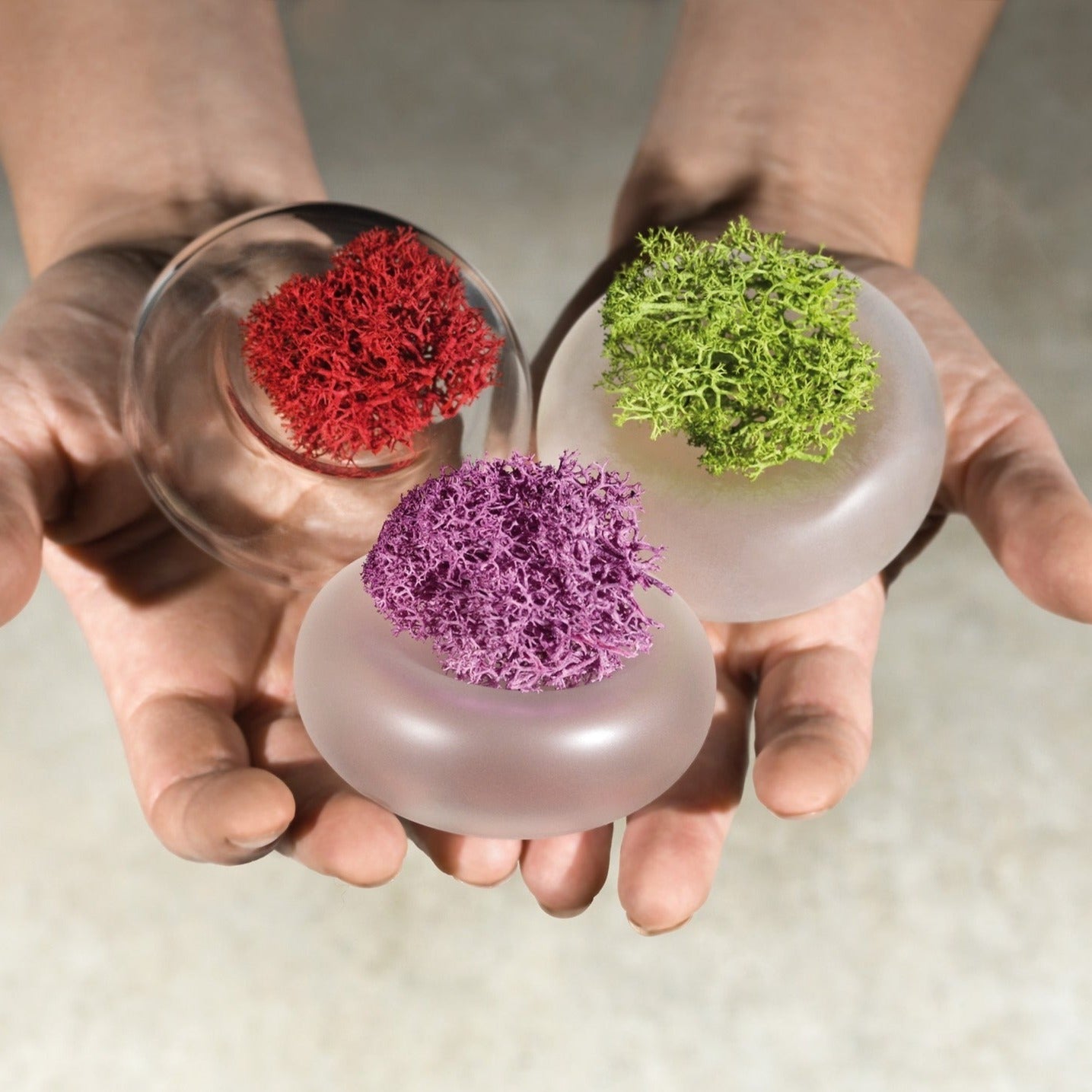 Reversible Mini Vase - FROSTED  - LAZADO