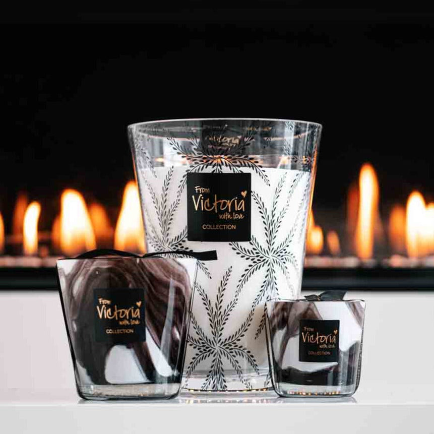 Ferns black - LAZADO