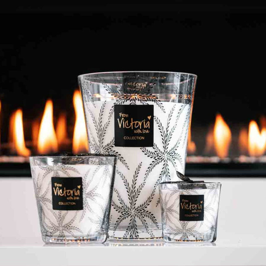 Ferns black - LAZADO