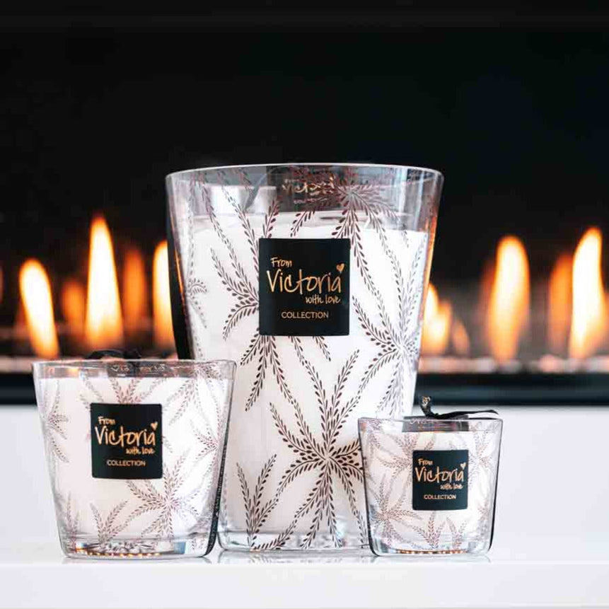 Ferns brown - LAZADO