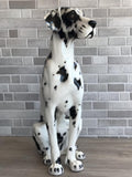 GREAT DANE by Abhika - Alternate Angle