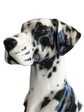 GREAT DANE by Abhika - Close-up