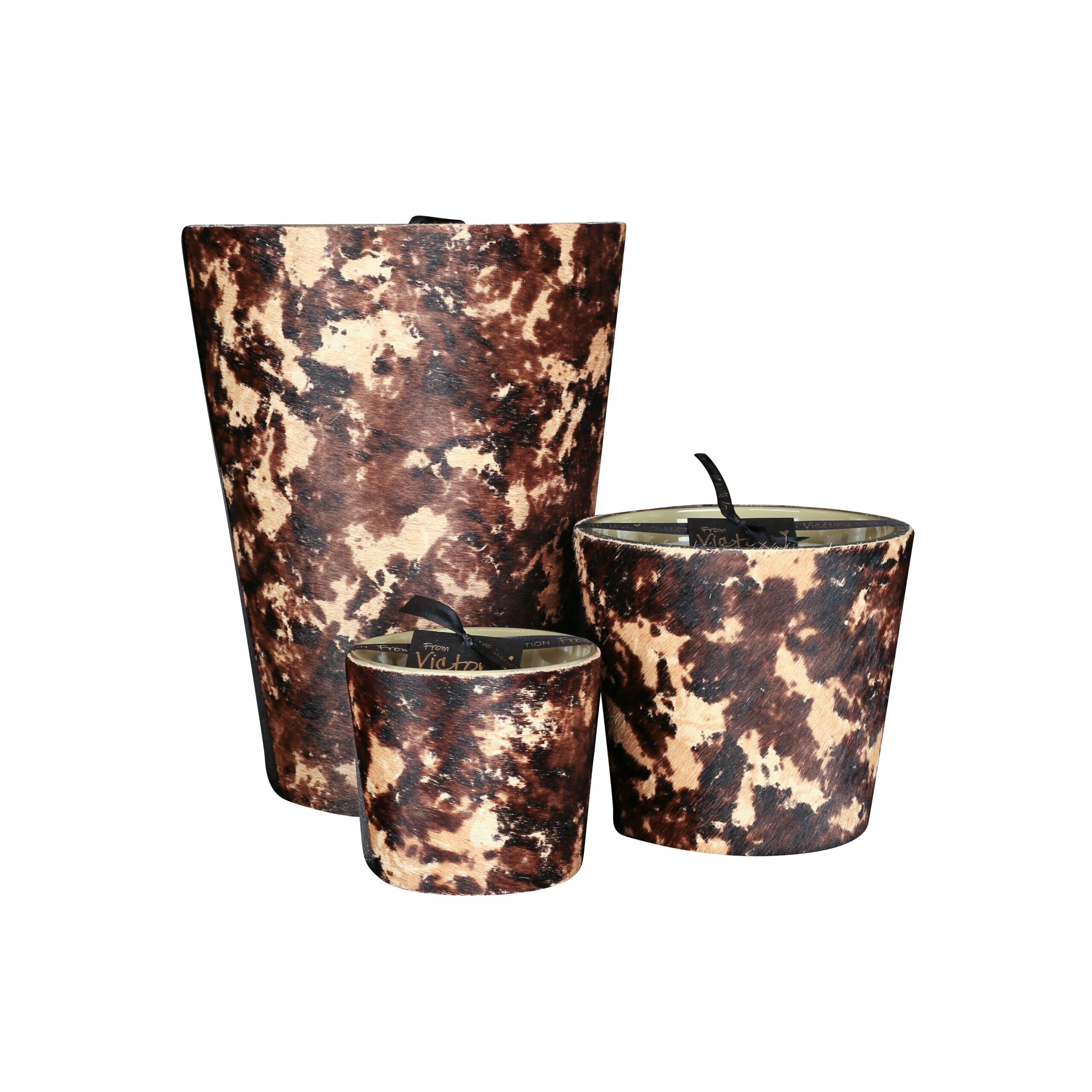 Hairy Forest - LAZADO