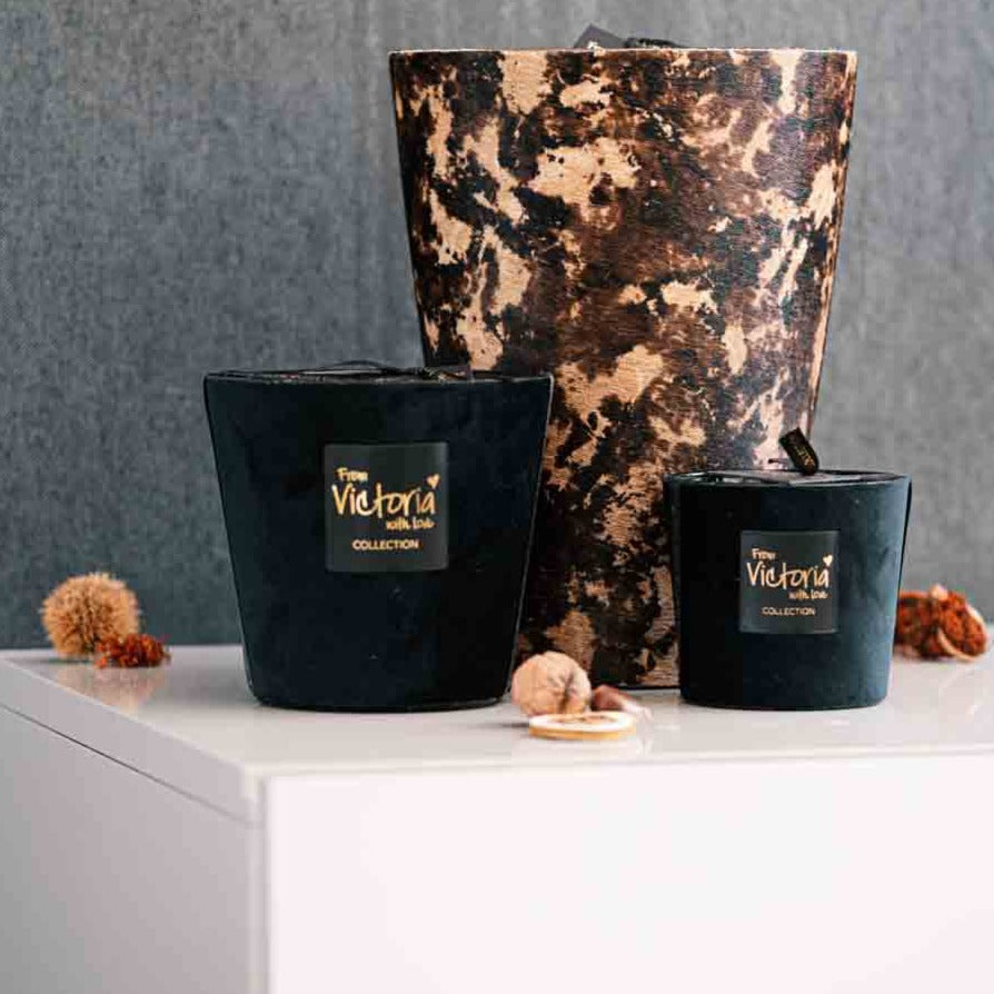 Hairy Forest - LAZADO