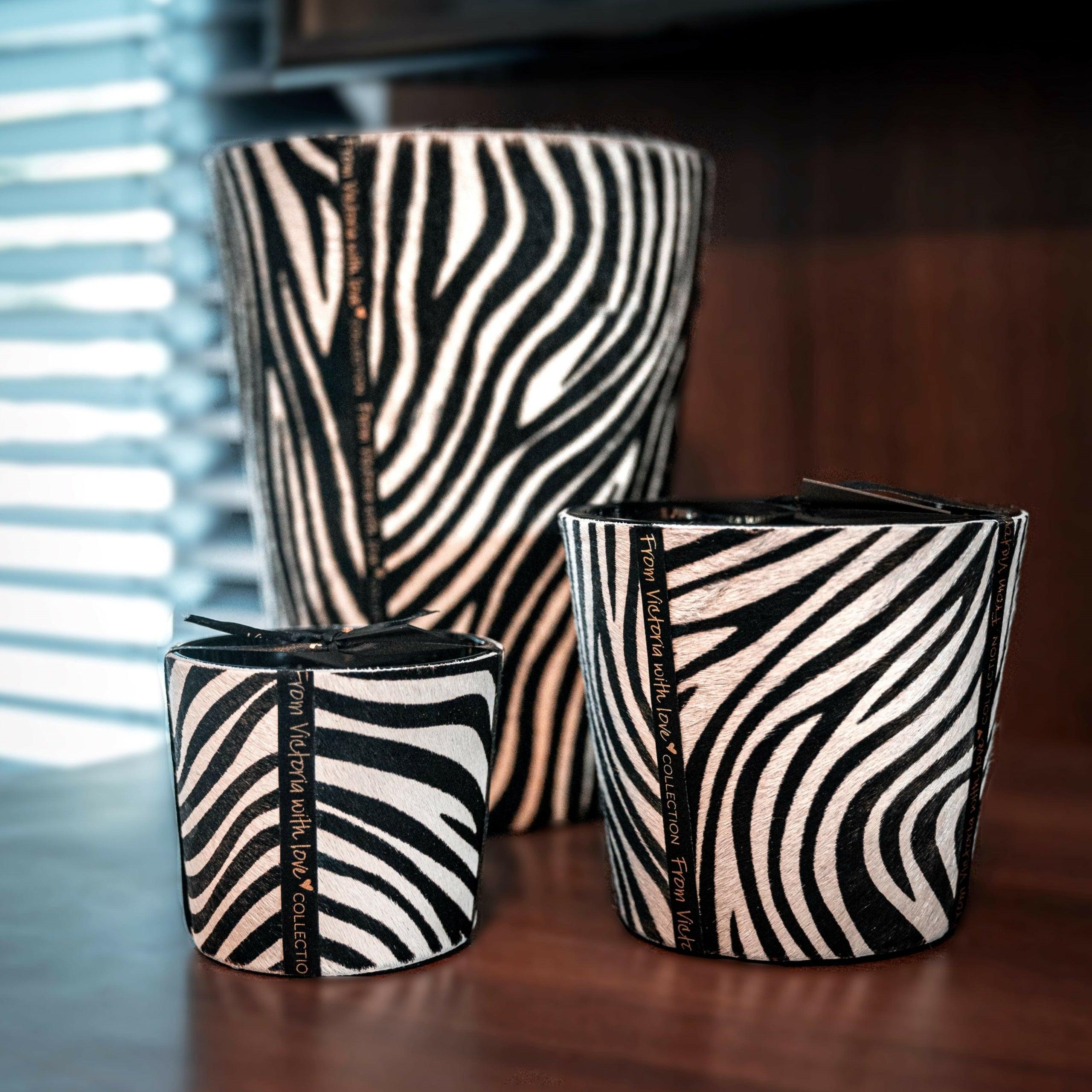 Hairy zebra - LAZADO