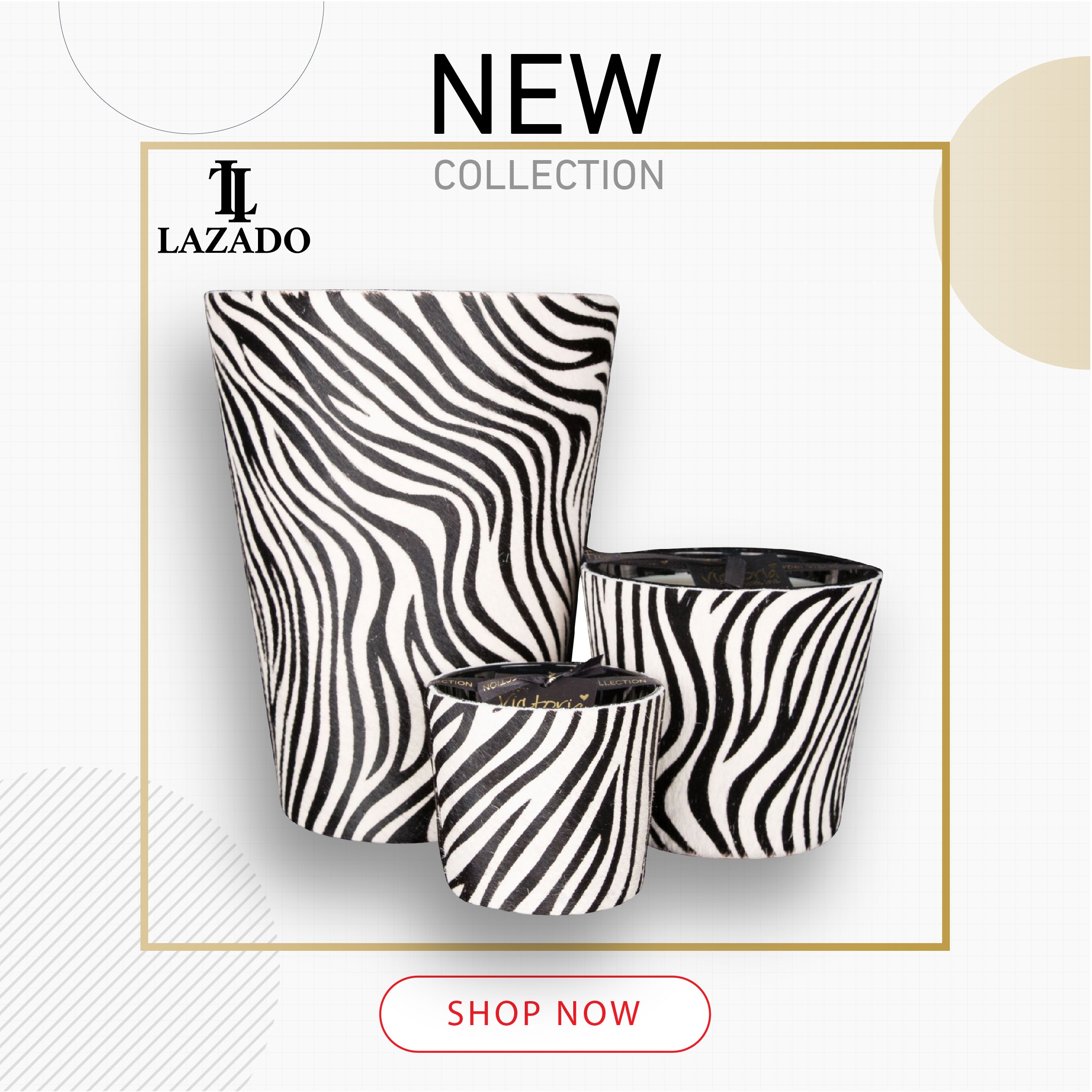 Hairy zebra - LAZADO