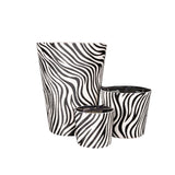 Hairy zebra by VICTORIA WITH LOVE - Main View