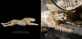 Running Cheetah With Base