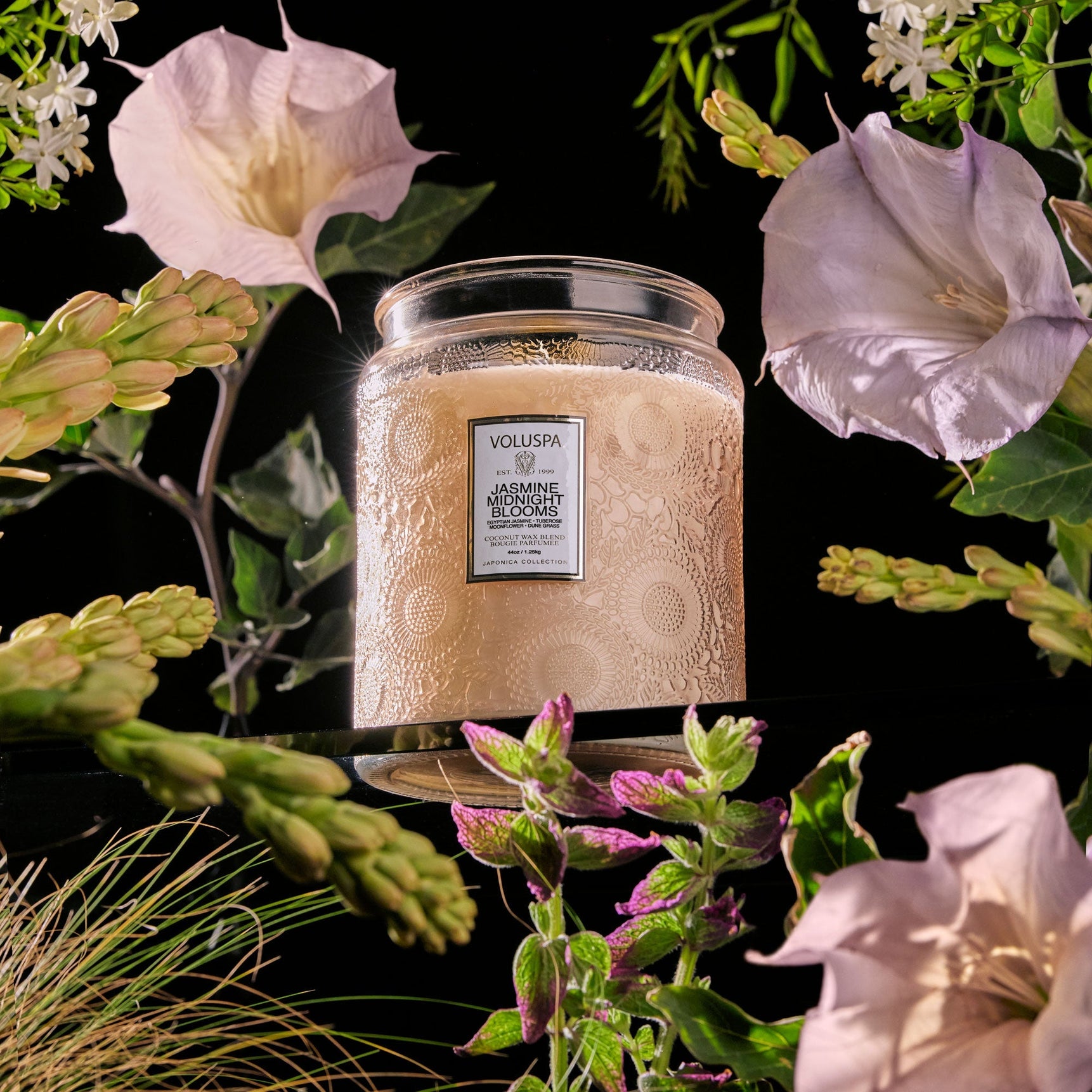 JASMINE MIDNIGHT BLOOMS - LUX JAR CANDLE 1.25KG - LAZADO