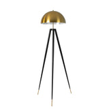 Polished gold steel and black steel floor lamp