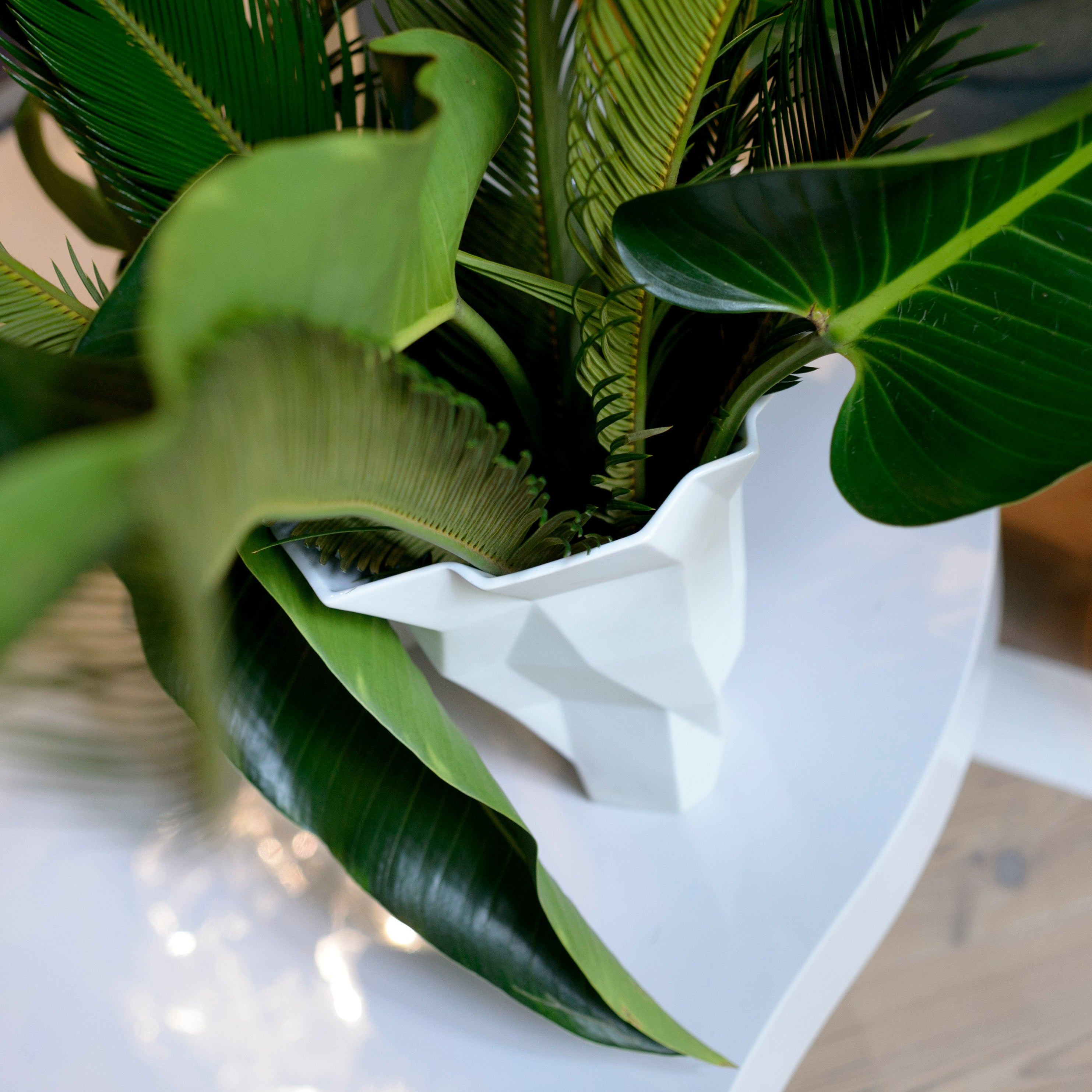 Large Vase - QUARTZ - LAZADO