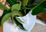 Large Vase - QUARTZ by Vista Alegre - Detail View