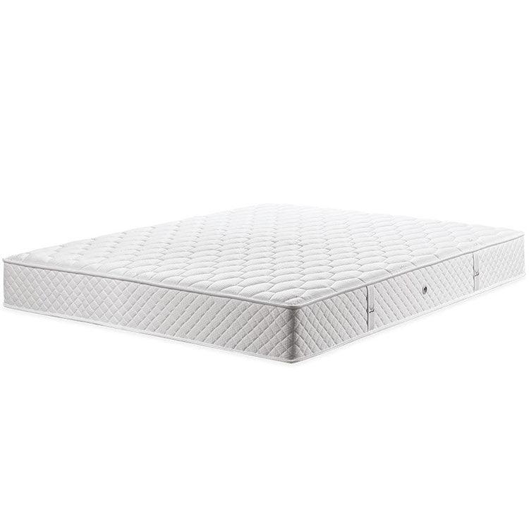 Matt Royal - Balance - LAZADO