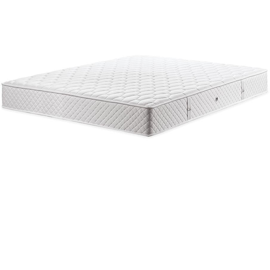 Matt Royal - Balance Plus - LAZADO