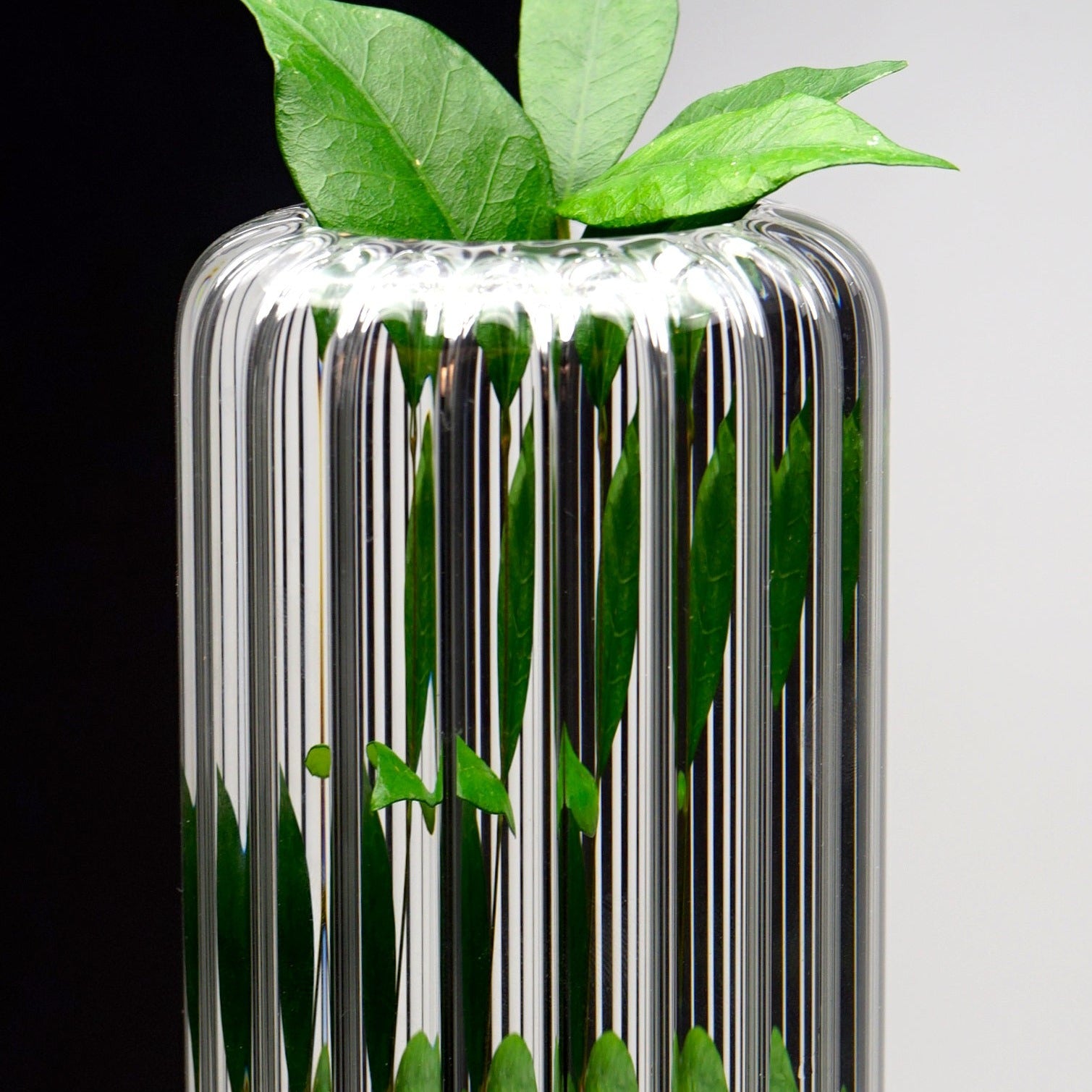 Naxos - clear asymmetrical vase - LAZADO