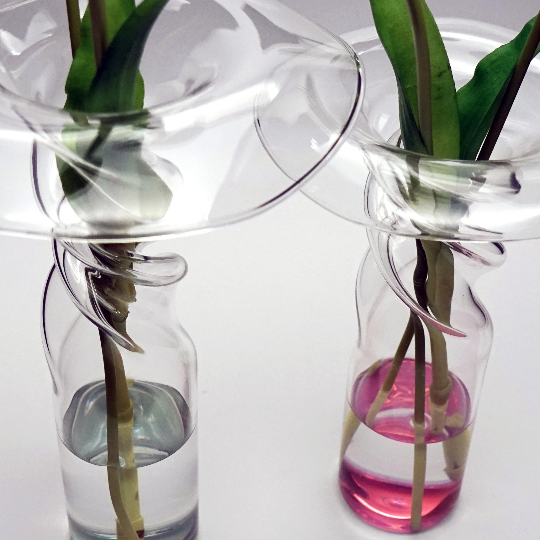 Poppy - vase (comes with four colors) - LAZADO