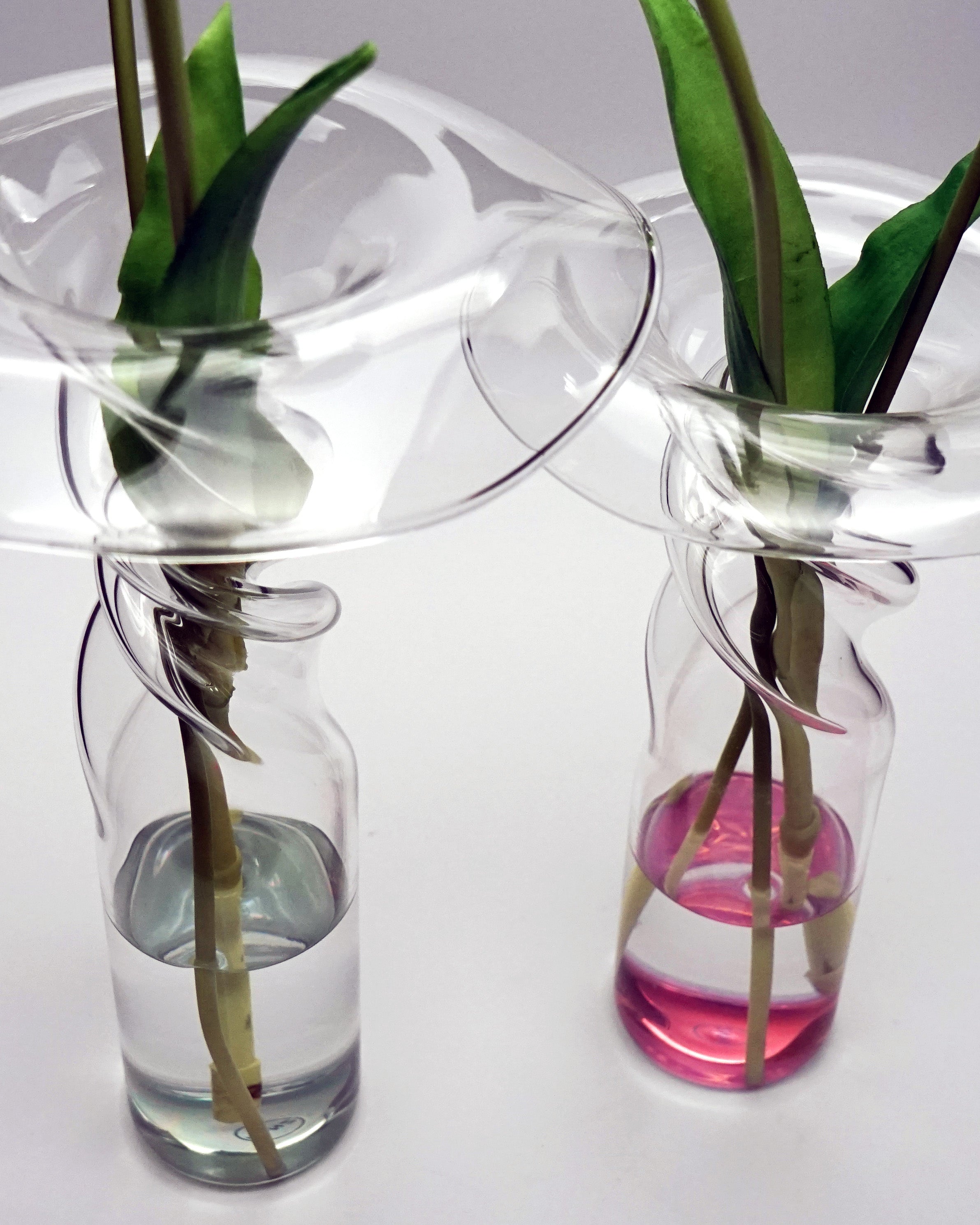 Poppy - vase (comes with four colors) - LAZADO