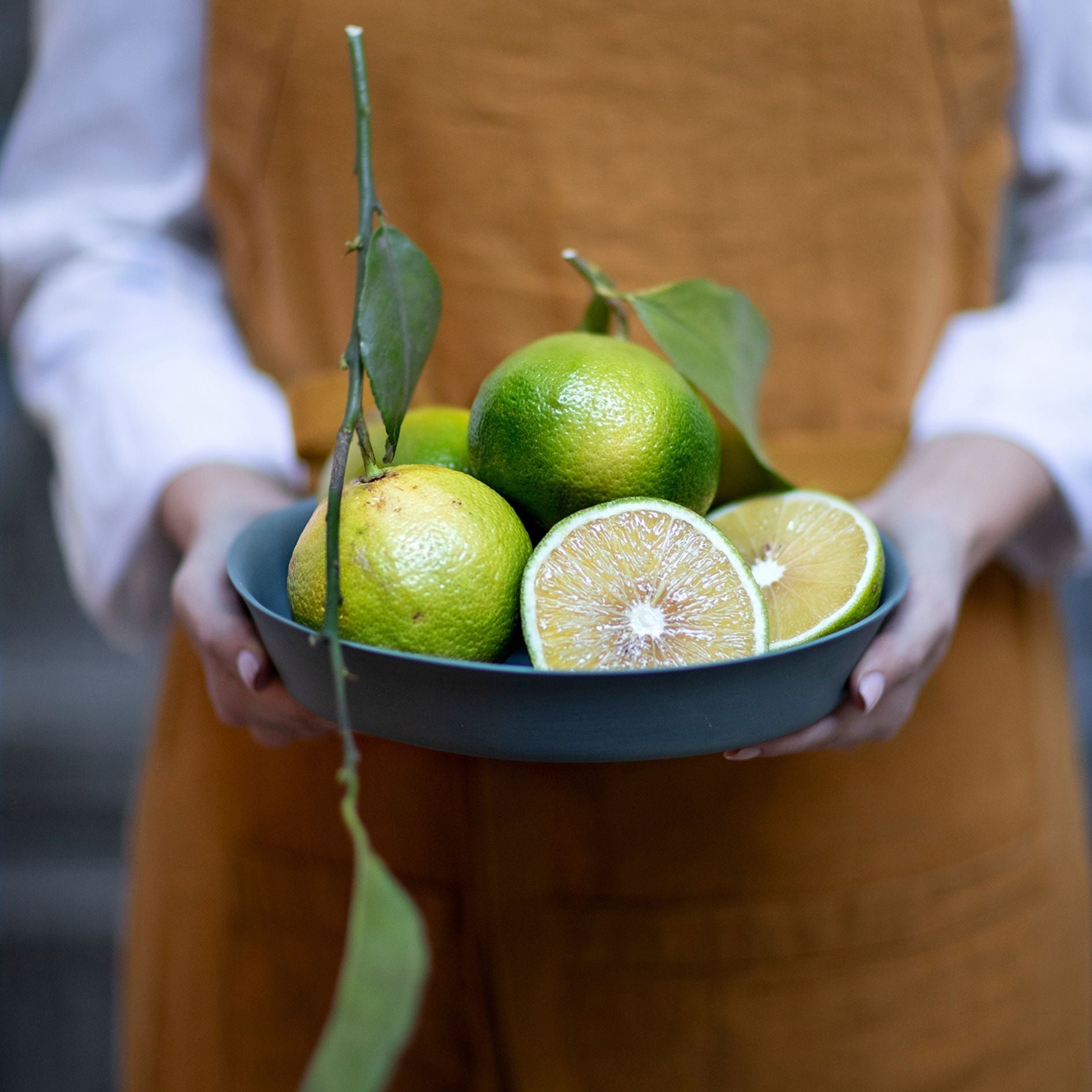 قشر برغموت كالابري المجفف مغطى بالشوكولاتة الداكنة – 150 جم
