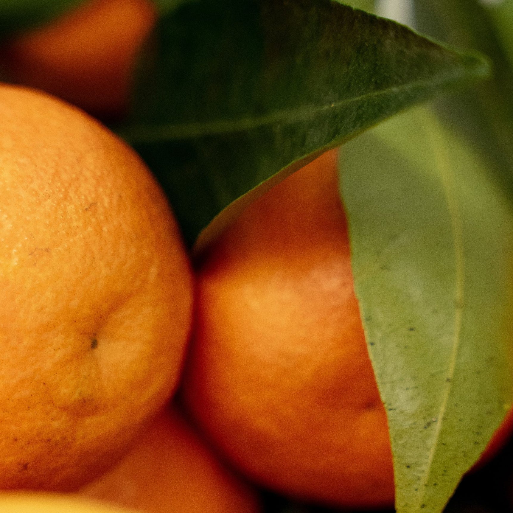 حلوى ناعمة بنكهة البرتقال الأحمر ومغطاة بمسحوق الكاكاو - 200 غرام