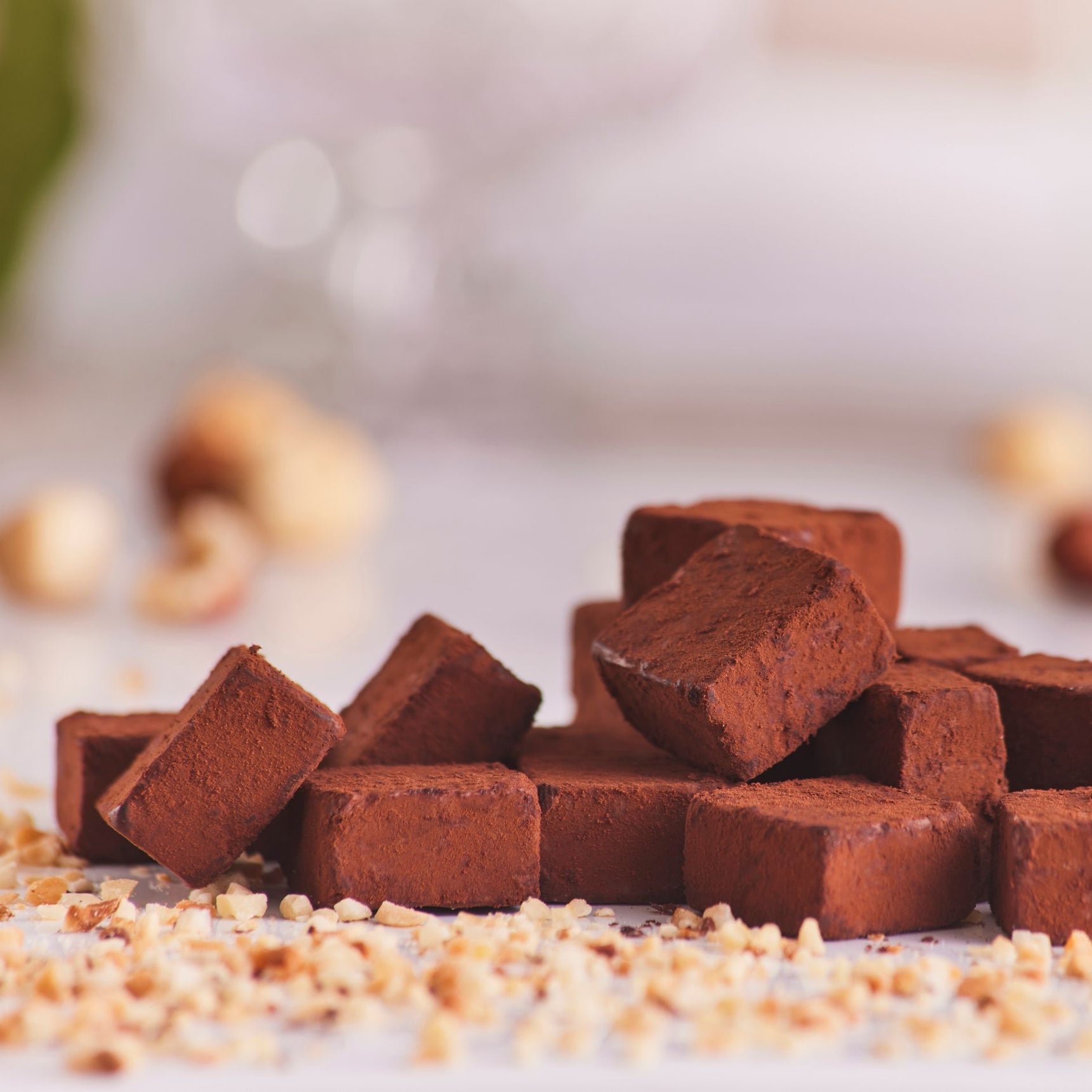 Dusted hazelnut truffles 200g