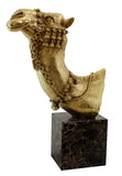 Golden Camel Bust