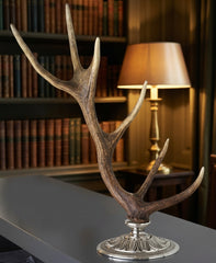 Natural Antler on Ornate Silver-Plated Base by Petri Firenze - Alternate Angle