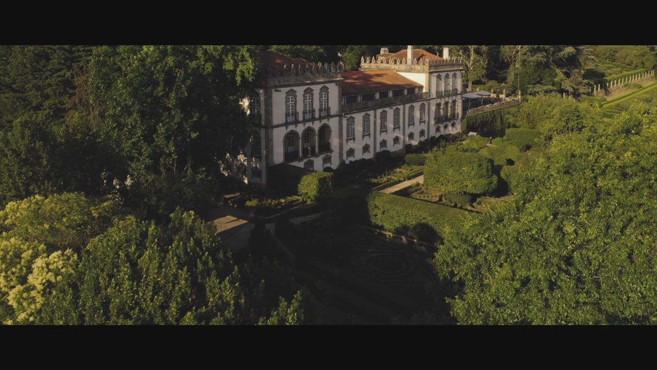 The Meaning - فنجان قهوة وصحن