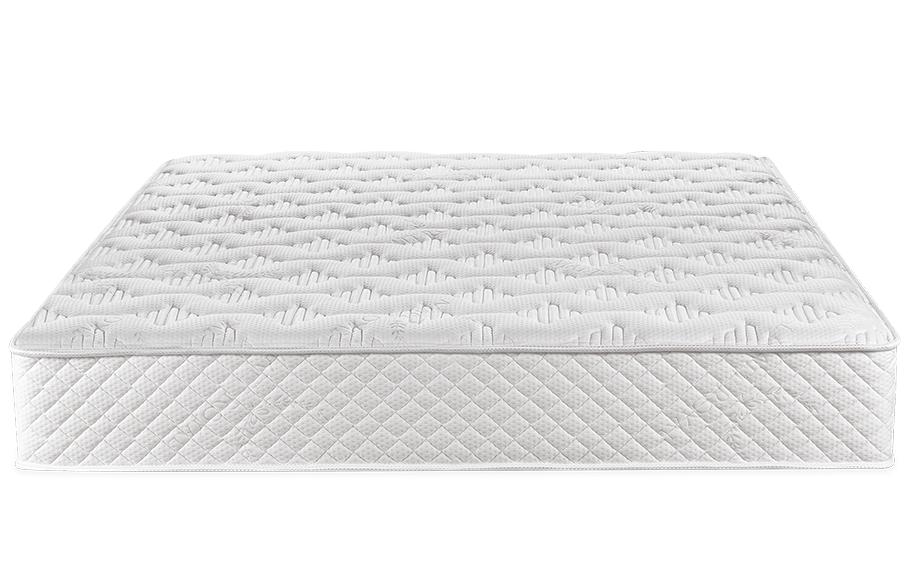 Matt Royal - Vital Cactus