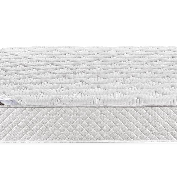 Matt Royal - Vital Cactus