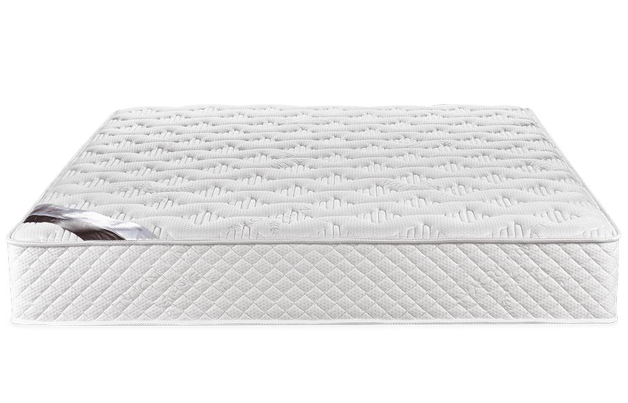 Matt Royal - Vital Cactus