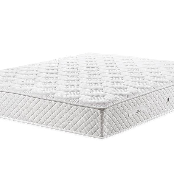 Matt Royal - Vital Cactus