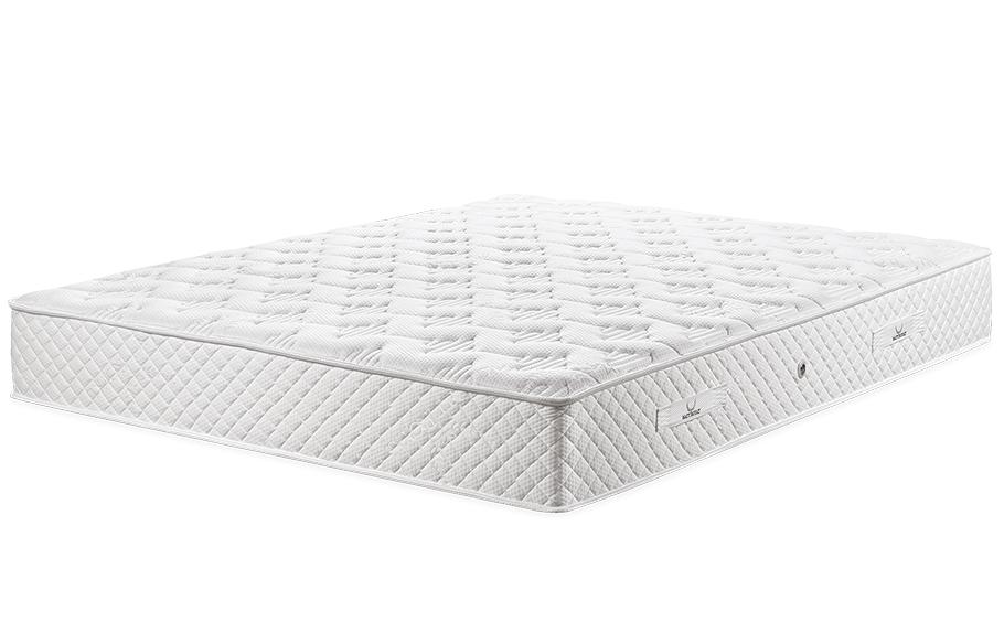 Matt Royal - Vital Cactus