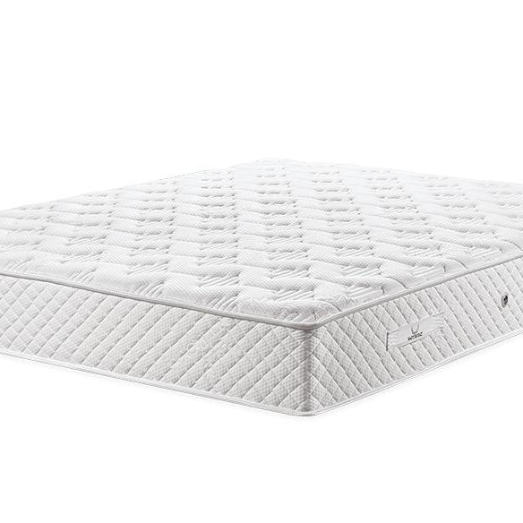 Matt Royal - Vital Cactus