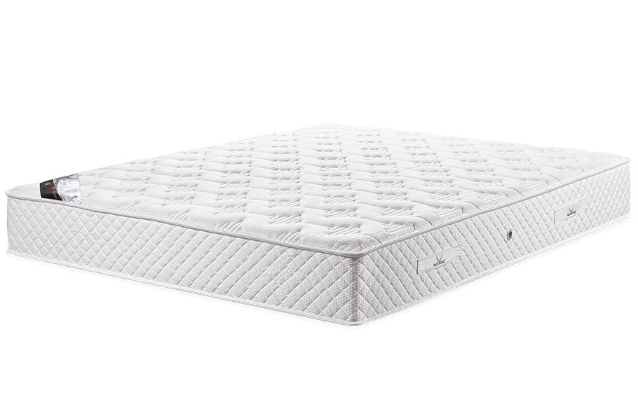 Matt Royal - Vital Cactus