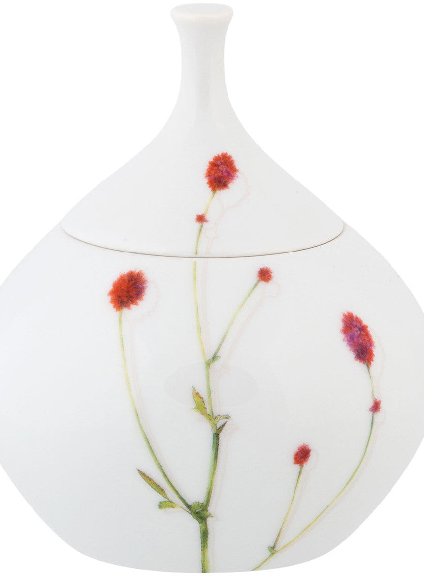 Prairie - Sugar Bowl - LAZADO