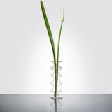 Natalia, flower vase in glass by Blueside - Alternate Angle