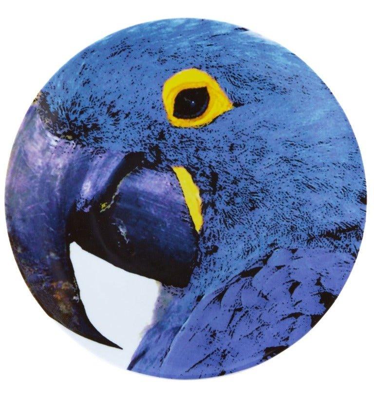 Olhar o Brasil - Charger Plate Blue Macaw - LAZADO