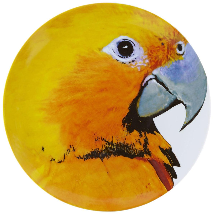 Olhar o Brasil - Charger Plate Guaruba - LAZADO