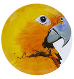 Olhar o Brasil - Charger Plate Guaruba - LAZADO