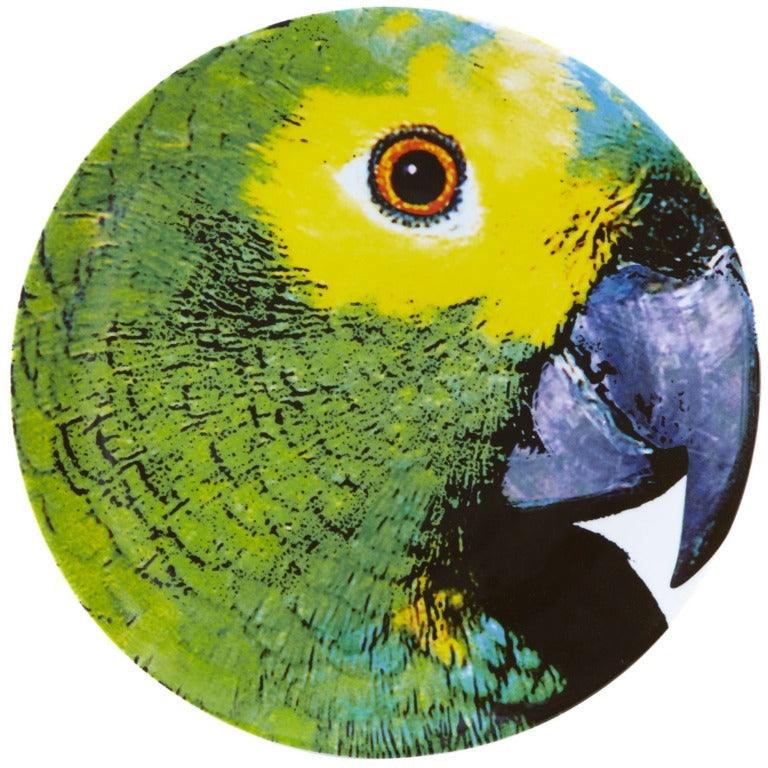 Olhar o Brasil - Charger Plate Parrot - LAZADO