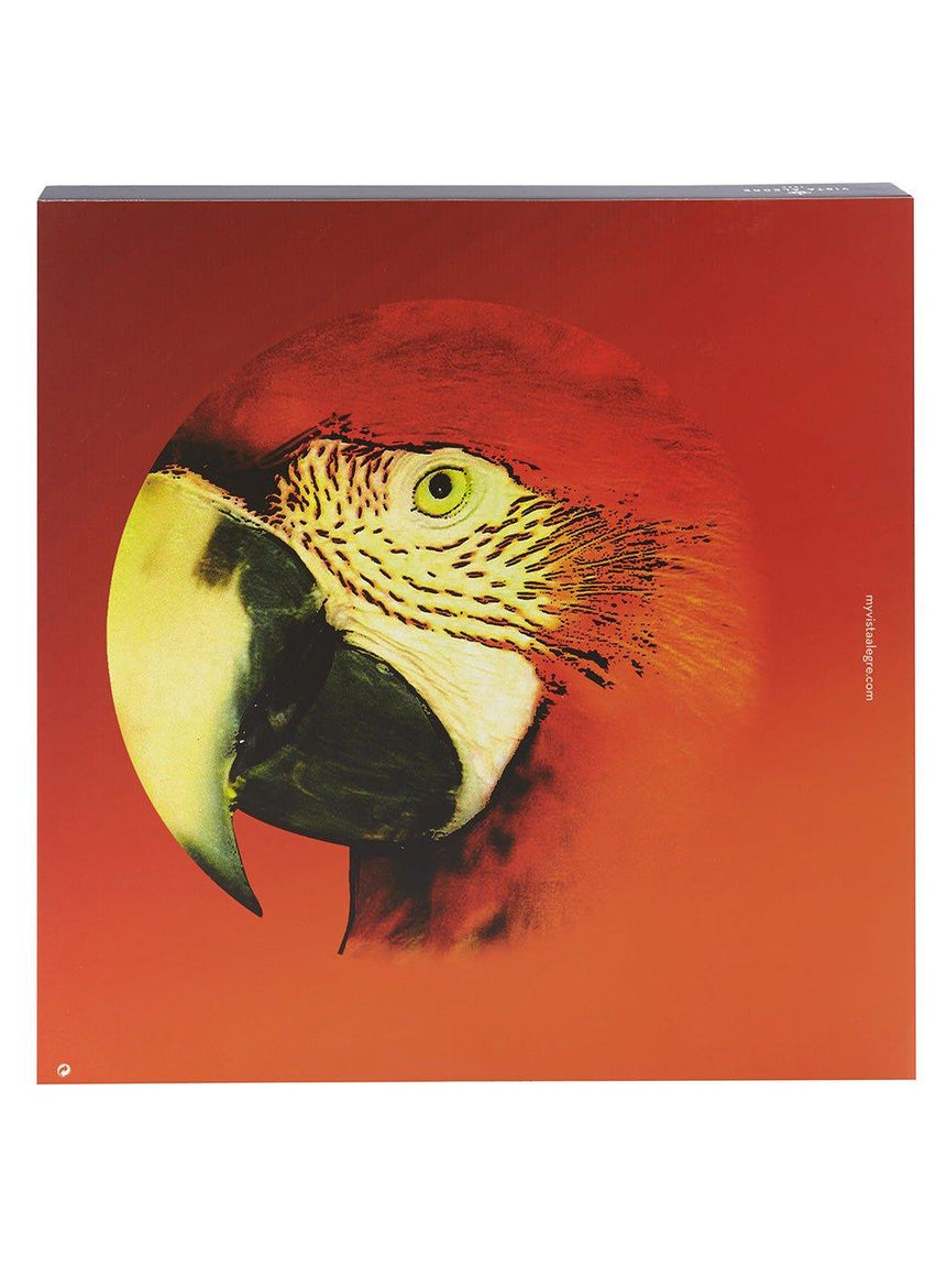 Olhar o Brasil - Charger Plate Red Macaw - LAZADO