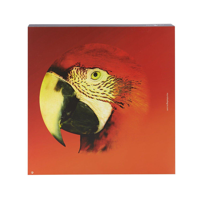 Olhar o Brasil - Charger Plate Red Macaw - LAZADO